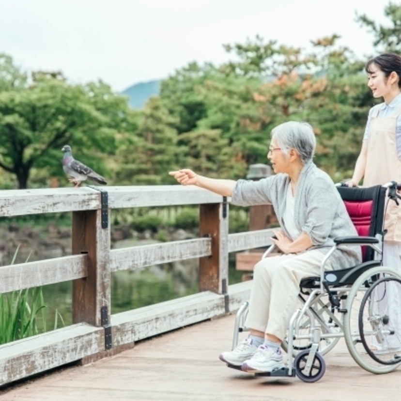 医療保険・入院保険｜ほけんのぜんぶ